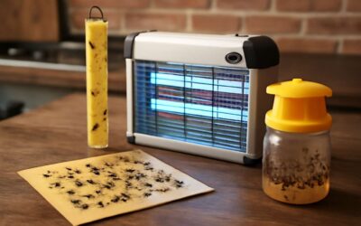 Effective Strategies and Tips for Managing Fly Traps the Range Under Any Conditions