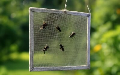 Effective Solutions with Fly Traps Net to Keep Pesky Flies Away Naturally