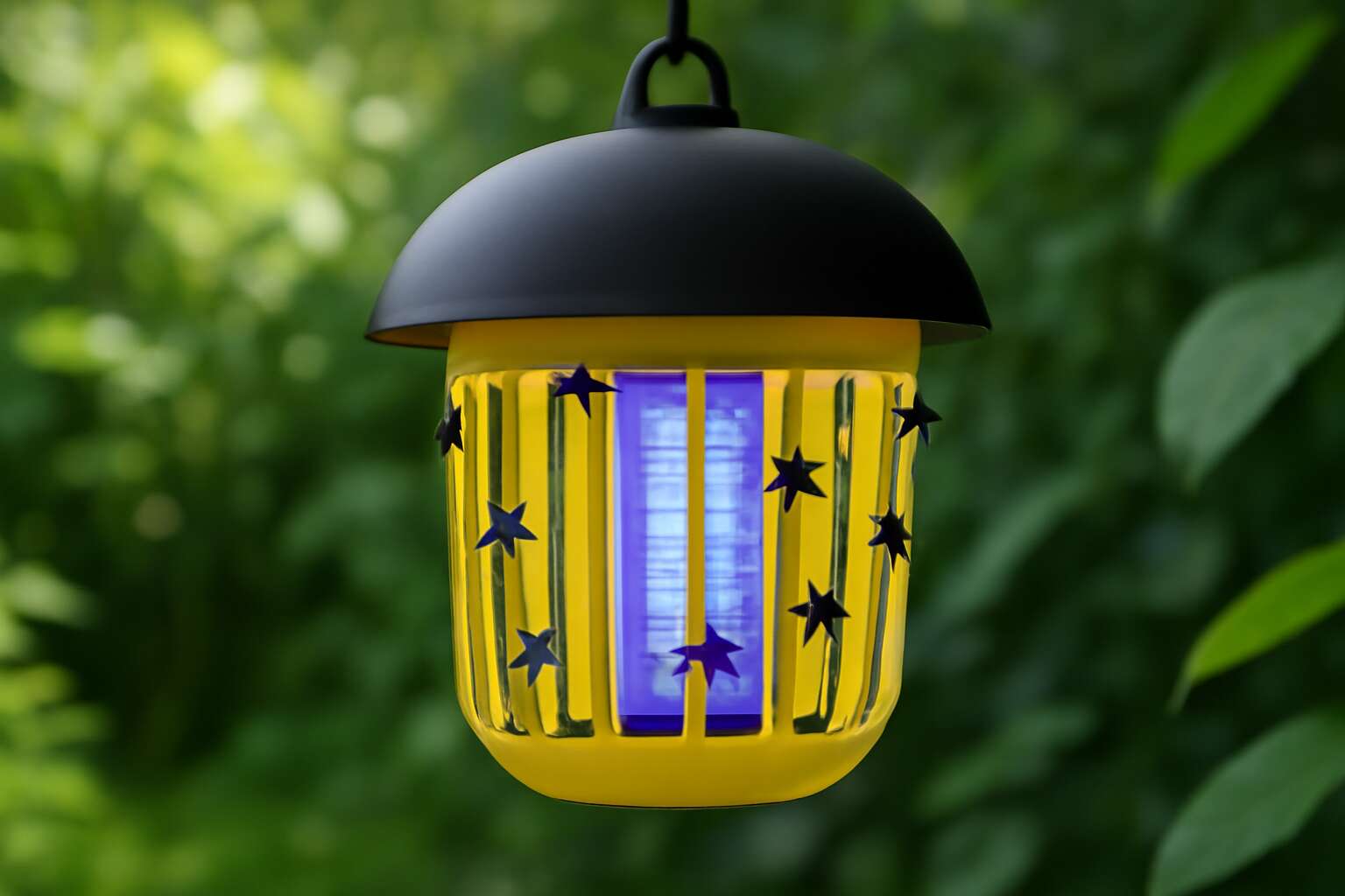 fly traps for outside