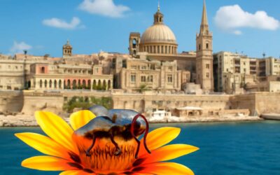 Discover the Brightest Places and Flights: Where Flies Direct to Malta for Your Perfect Vacation