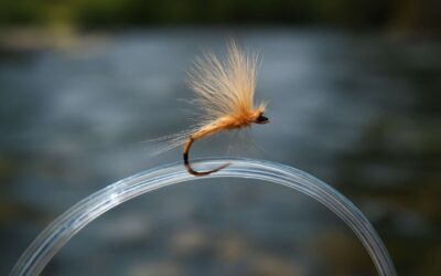 Mastering the Art of Fishing: Why Fluorocarbon for Dry Flies Is Your Ultimate Secret Weapon