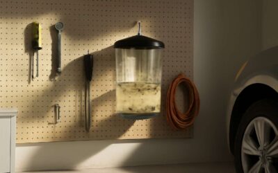 Discover top-rated fly traps for garage to keep pests out