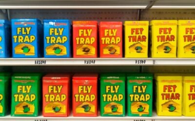 Discover fly traps dollar store finds that keep bugs out without breaking the bank.