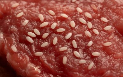 Guard Your Dinner: What Happens When You Spot flies eggs on meat