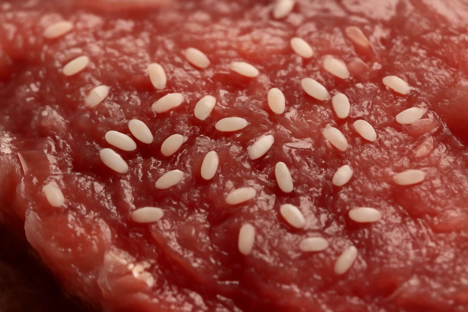 generated_image_6a5deb5988b8a.jpg flies eggs on meat