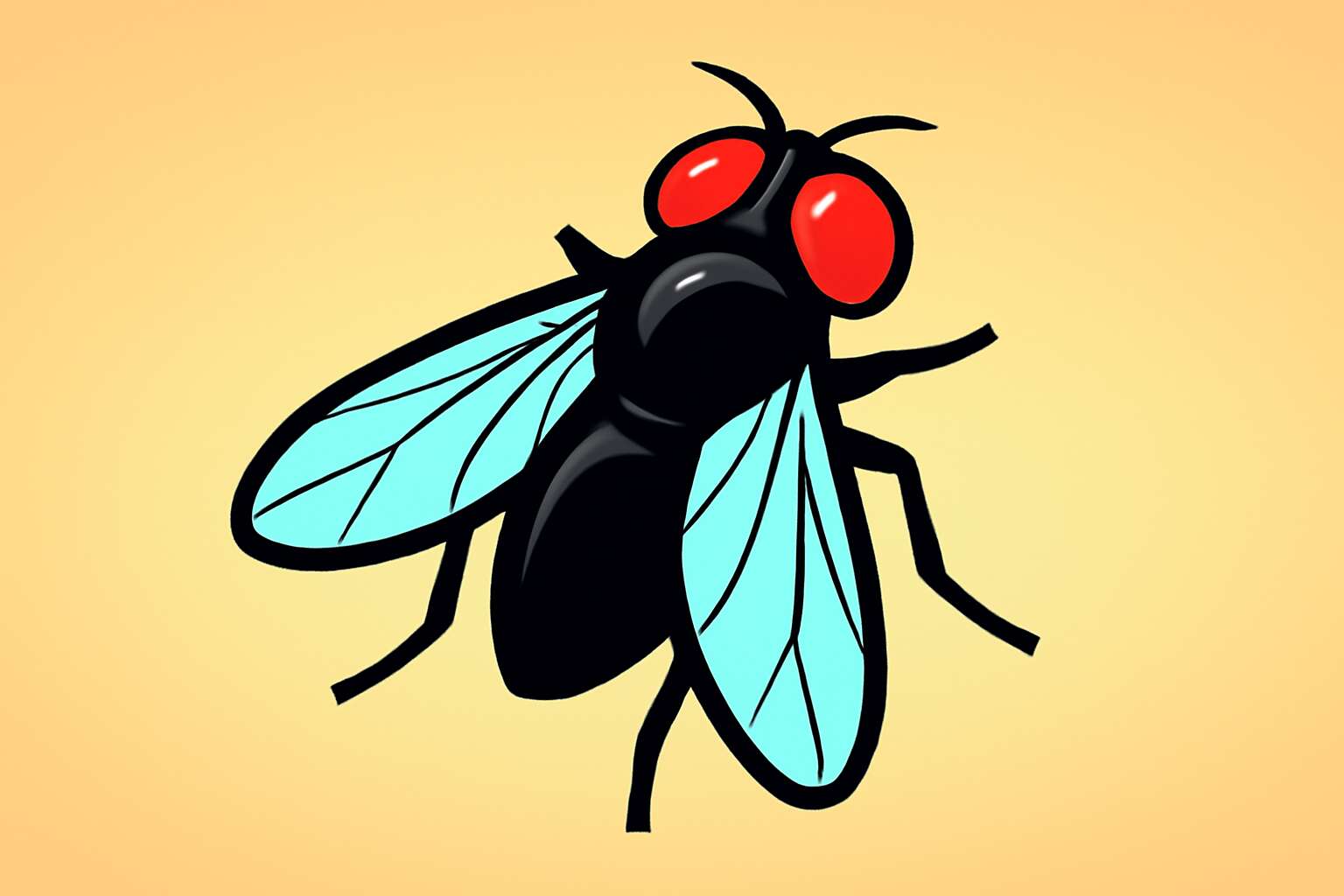 flies clipart