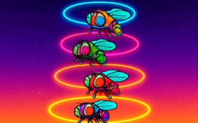 Conquer levels in flies up game with fast reflexes and clever tricks.