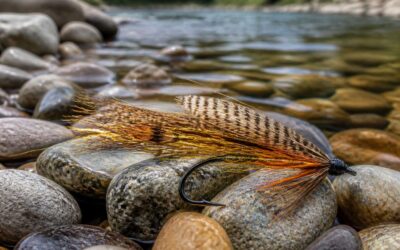 Streamer Flies for Brown Trout That Trigger Strikes